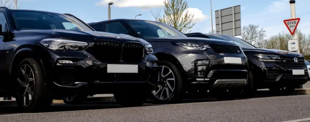 Casino Wild Jack App Android/iOS